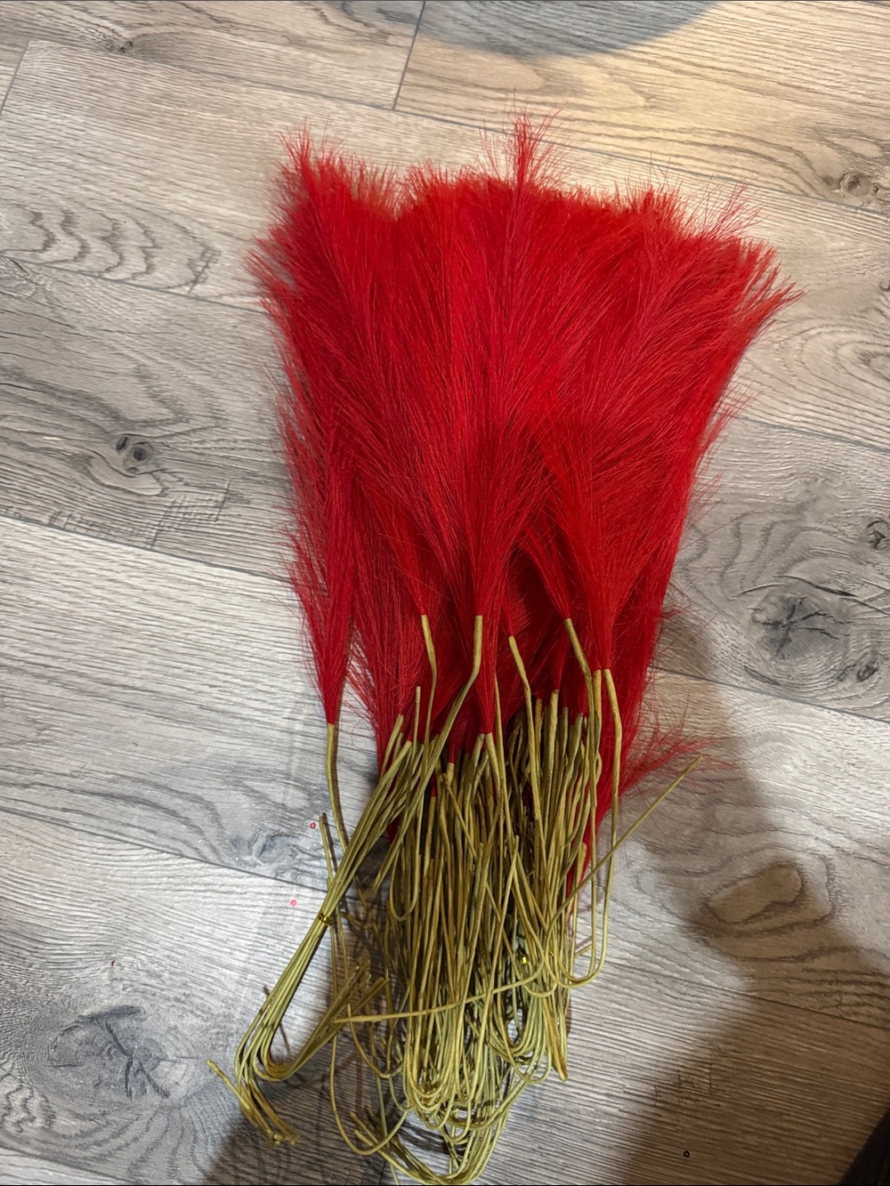 Bright Red Decorative Feather Stems 78 each